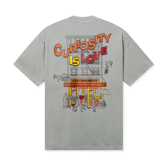 "Curiosity Is Love" Tee (Sage)